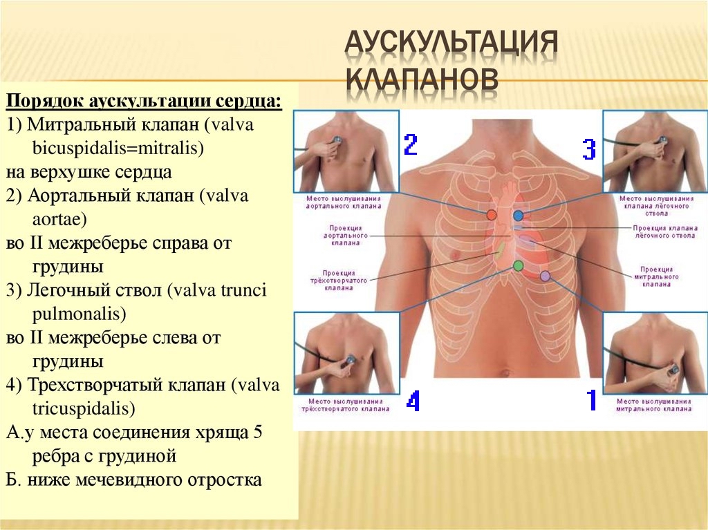 https://upforme.ru/uploads/0001/48/78/2003/963300.jpg