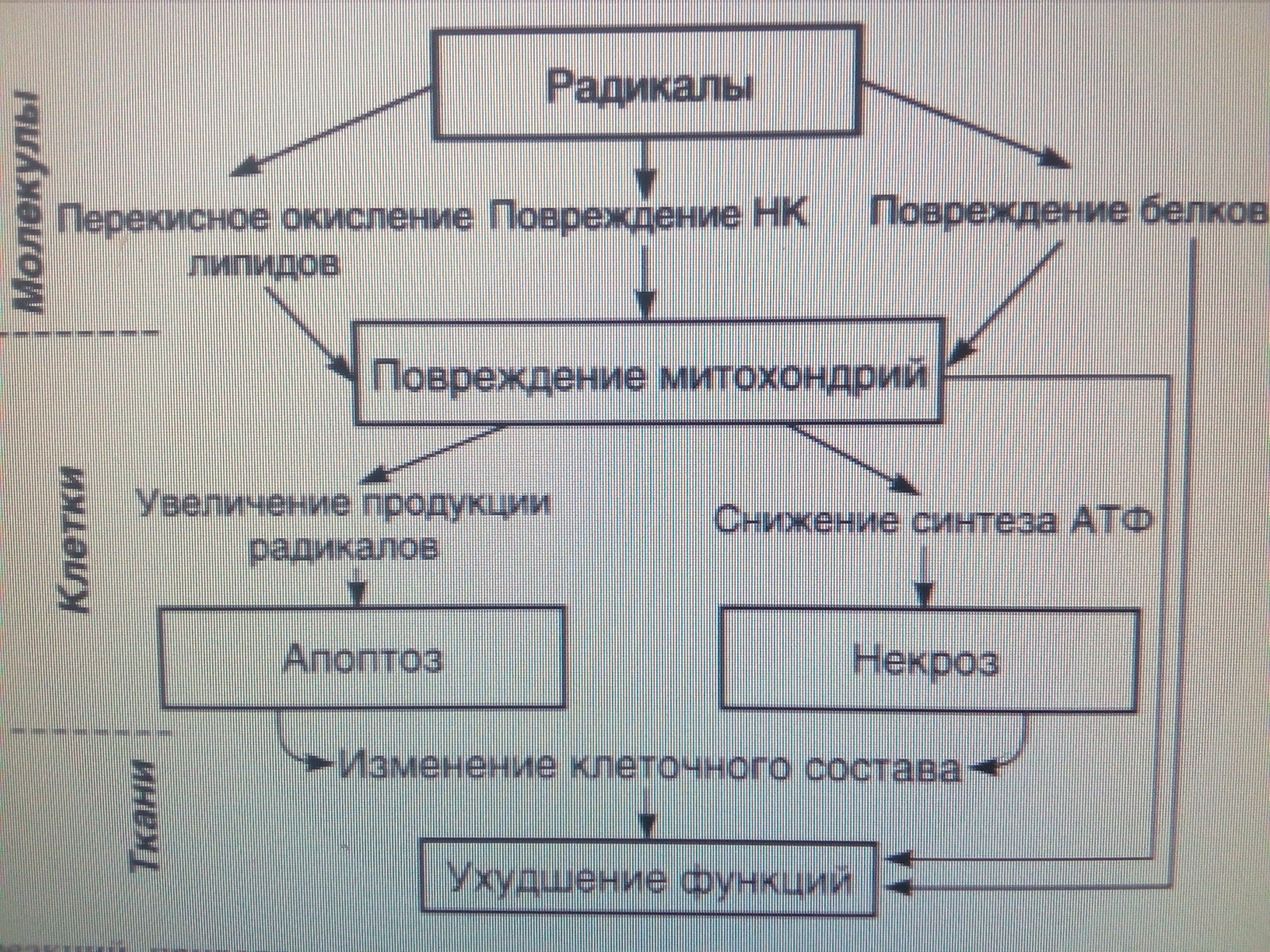 https://upforme.ru/uploads/0001/48/78/2693/91298.jpg