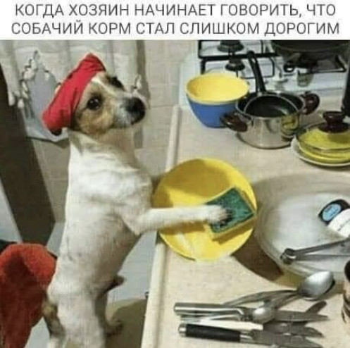 https://upforme.ru/uploads/0001/48/78/5126/255652.jpg