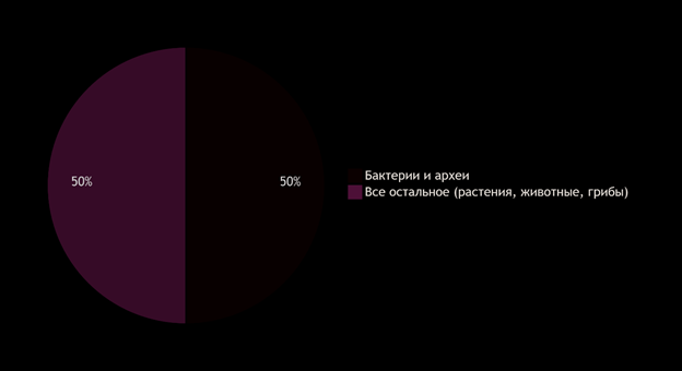 https://upforme.ru/uploads/0001/48/78/6408/185128.png