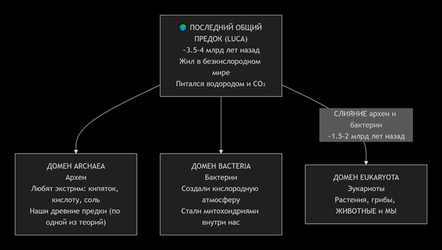 https://upforme.ru/uploads/0001/48/78/6408/737634.png