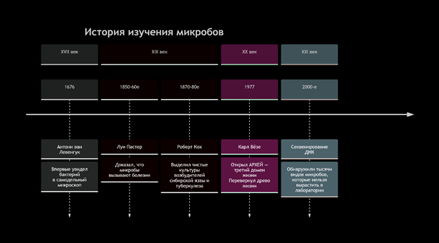 https://upforme.ru/uploads/0001/48/78/6408/905221.png