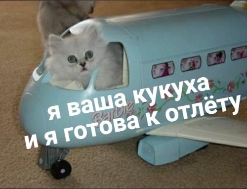 https://upforme.ru/uploads/0001/52/10/1484/275755.jpg