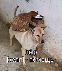 https://upforme.ru/uploads/0001/52/10/2077/621027.jpg