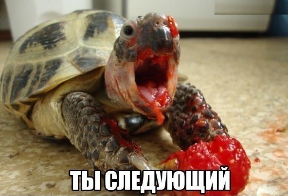 https://upforme.ru/uploads/0001/52/10/2158/222242.jpg