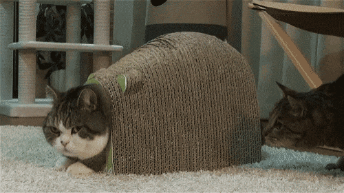 https://upforme.ru/uploads/0001/52/10/2158/422847.gif