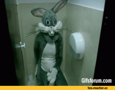 https://upforme.ru/uploads/0001/52/10/2158/684985.gif