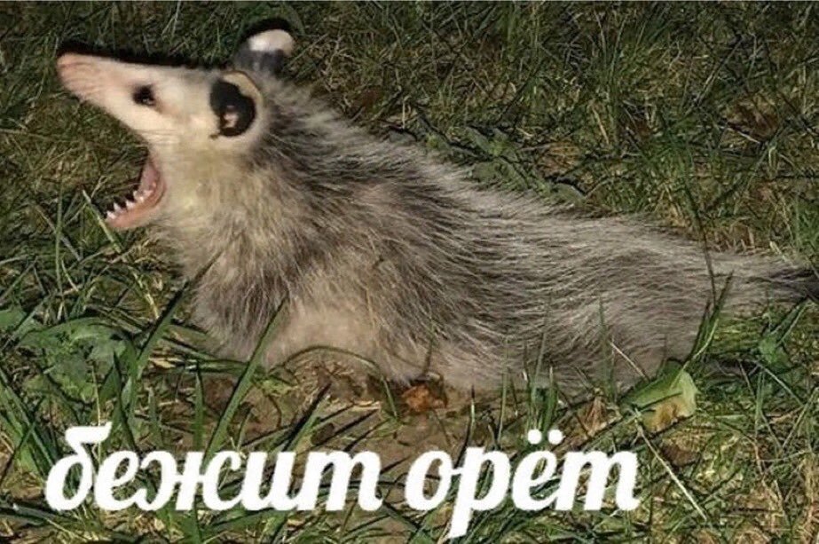 https://upforme.ru/uploads/0001/52/10/2158/971297.jpg