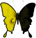 https://upforme.ru/uploads/0001/52/10/2622/367819.png