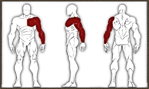 https://upforme.ru/uploads/0001/52/10/2663/141450.png