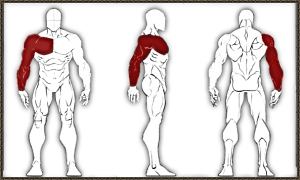 https://upforme.ru/uploads/0001/52/10/2663/577389.png