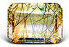 https://upforme.ru/uploads/0001/52/10/3080/t777039.png