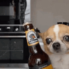 https://upforme.ru/uploads/0001/52/10/3423/392012.gif