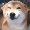 https://upforme.ru/uploads/0001/52/10/3423/478533.gif