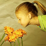 https://upforme.ru/uploads/0001/59/8a/55596-2.gif