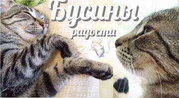 https://upforme.ru/uploads/0001/8e/25/336/t953454.jpg