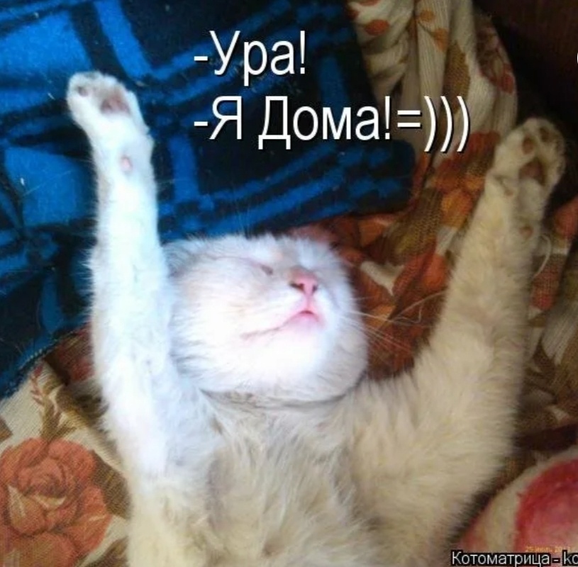 https://upforme.ru/uploads/0001/96/2e/2/541424.jpg