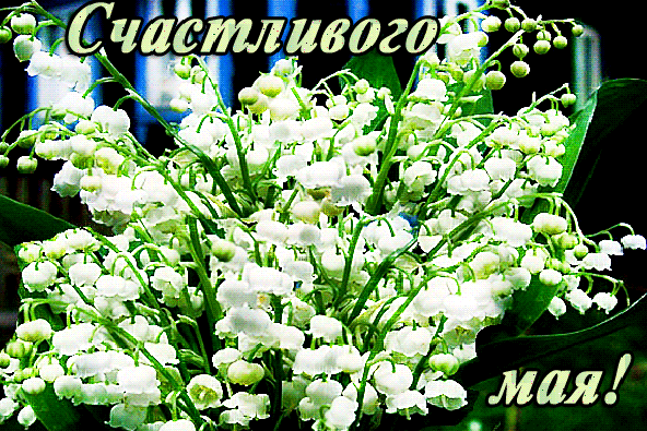 https://upforme.ru/uploads/0001/96/2e/2/914493.gif