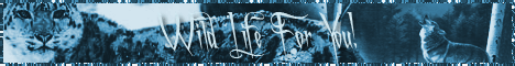 https://upforme.ru/uploads/0001/bf/2f/24661-1-f.gif