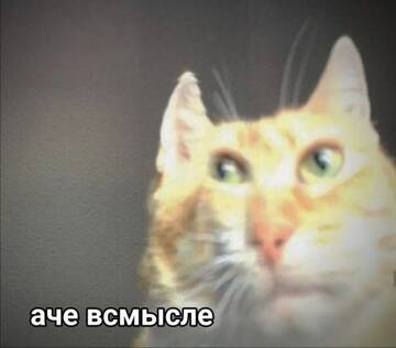 https://upforme.ru/uploads/0001/bf/9c/499/t318861.jpg