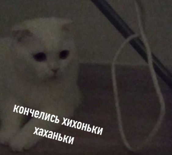 https://upforme.ru/uploads/0001/bf/9c/663/101641.jpg