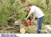 https://upforme.ru/uploads/0001/c3/44/209/t599864.jpg