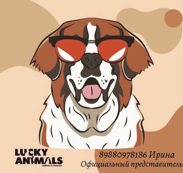 https://upforme.ru/uploads/0001/cf/87/2/t558509.jpg