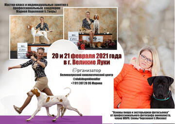 https://upforme.ru/uploads/0001/cf/87/2/t565130.jpg