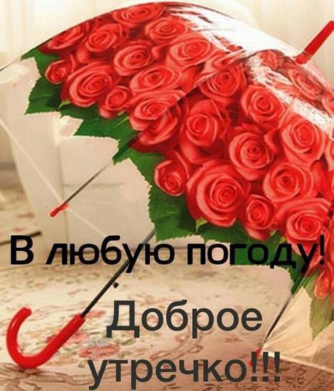 https://upforme.ru/uploads/0001/d0/60/1222/t723107.jpg