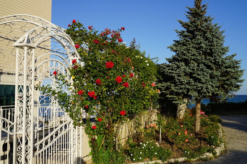 https://upforme.ru/uploads/0001/d0/60/1603/76969.jpg