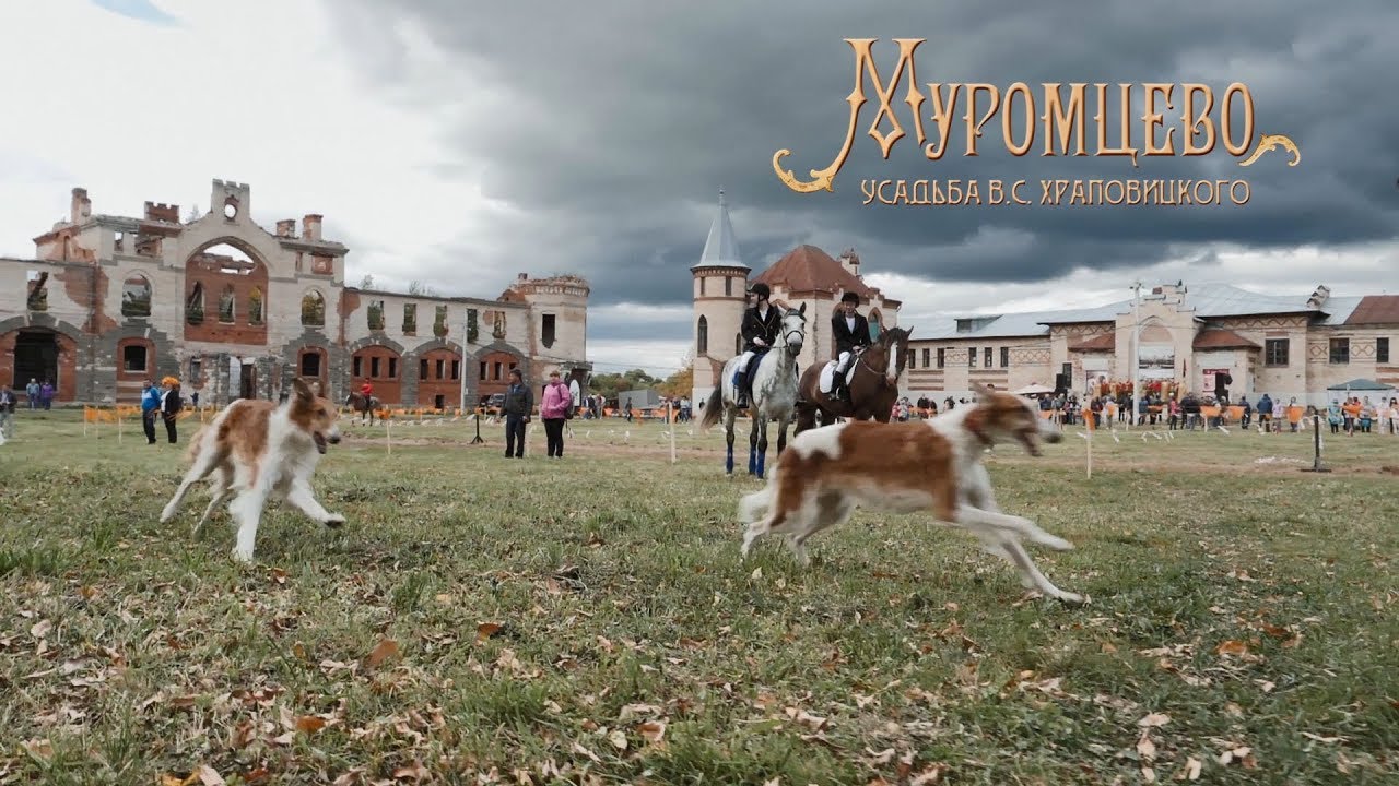 https://upforme.ru/uploads/0001/d0/60/1991/28667.jpg