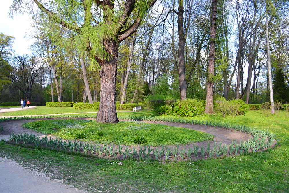 https://upforme.ru/uploads/0001/d0/60/1991/58635.jpg
