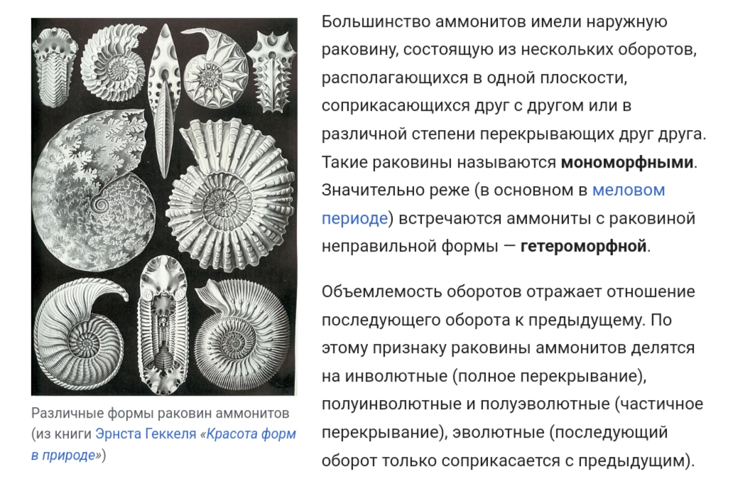 https://upforme.ru/uploads/0001/d0/60/2/178616.jpg
