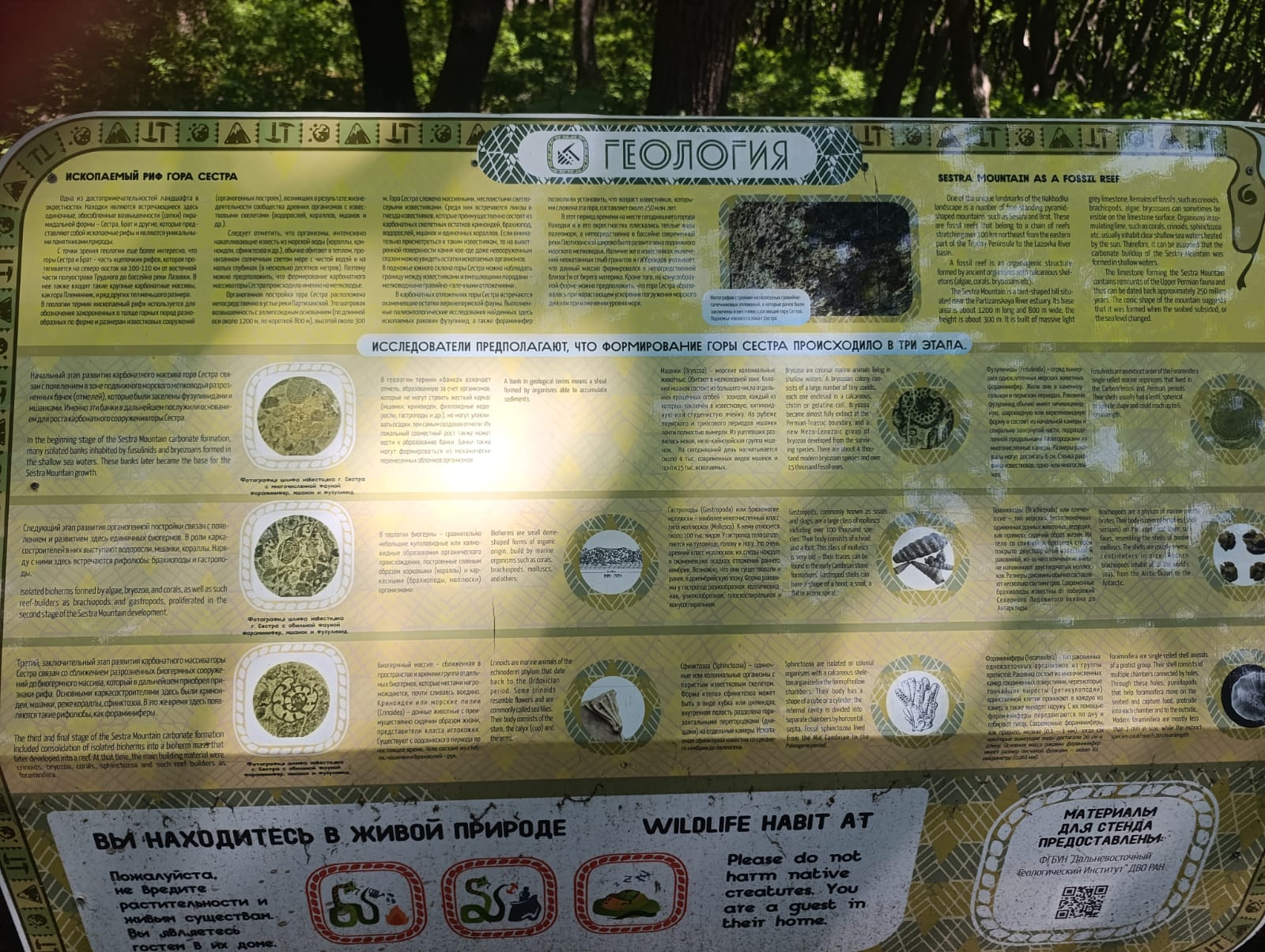 https://upforme.ru/uploads/0001/d0/60/2/487953.jpg