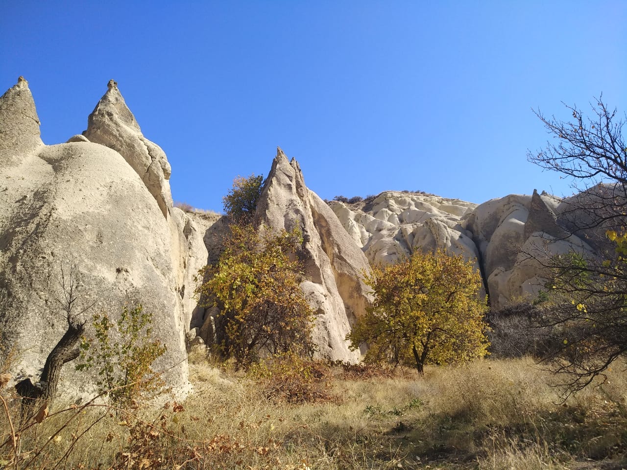 https://upforme.ru/uploads/0001/d0/60/2/533306.jpg