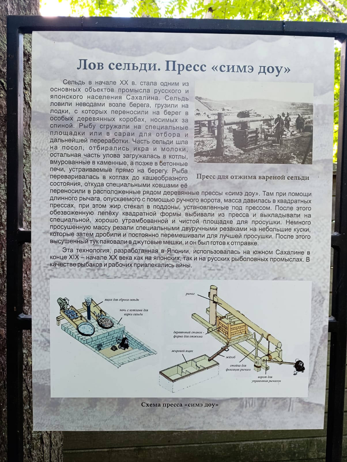 https://upforme.ru/uploads/0001/d0/60/2/53603.jpg
