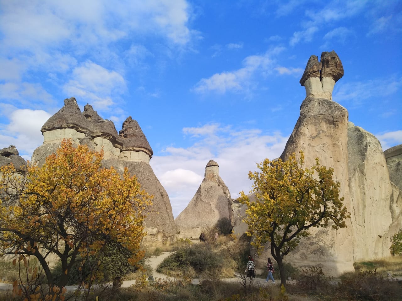 https://upforme.ru/uploads/0001/d0/60/2/62455.jpg