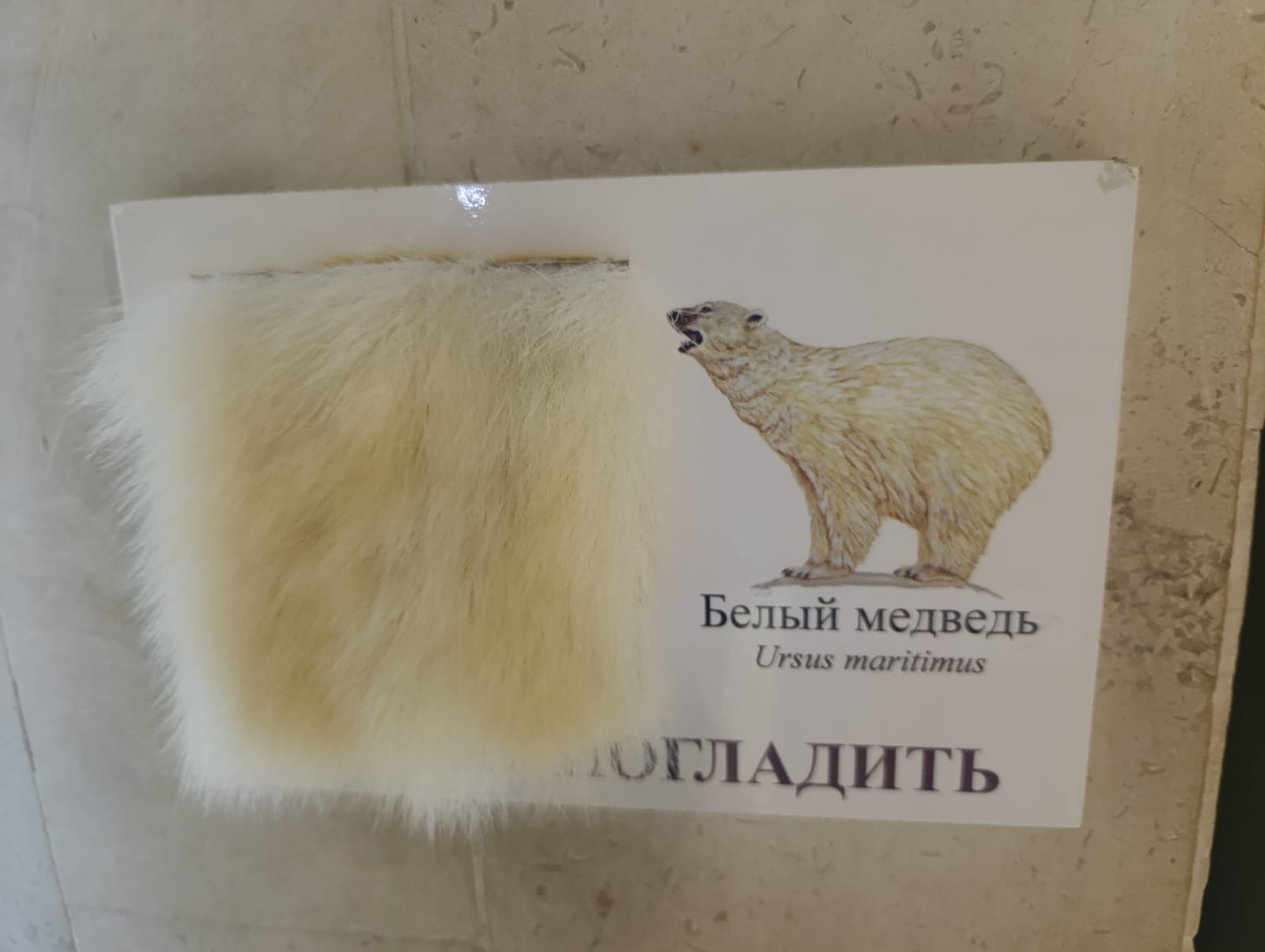 https://upforme.ru/uploads/0001/d0/60/2/879829.jpg