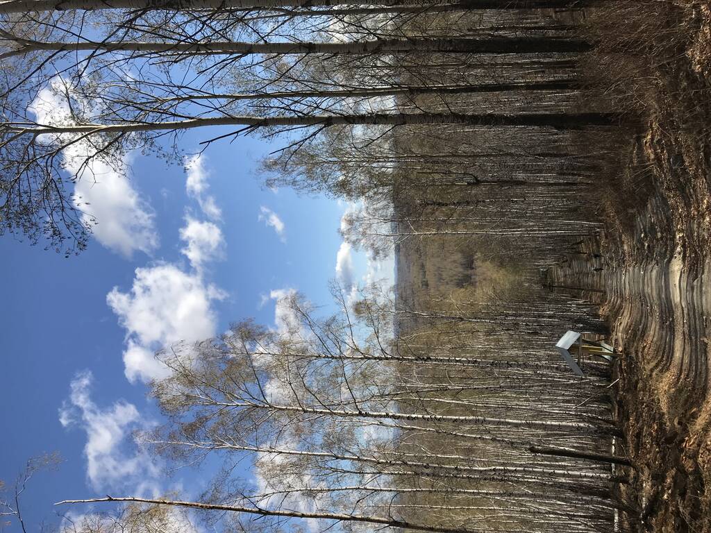 https://upforme.ru/uploads/0001/d0/60/2802/170333.jpg