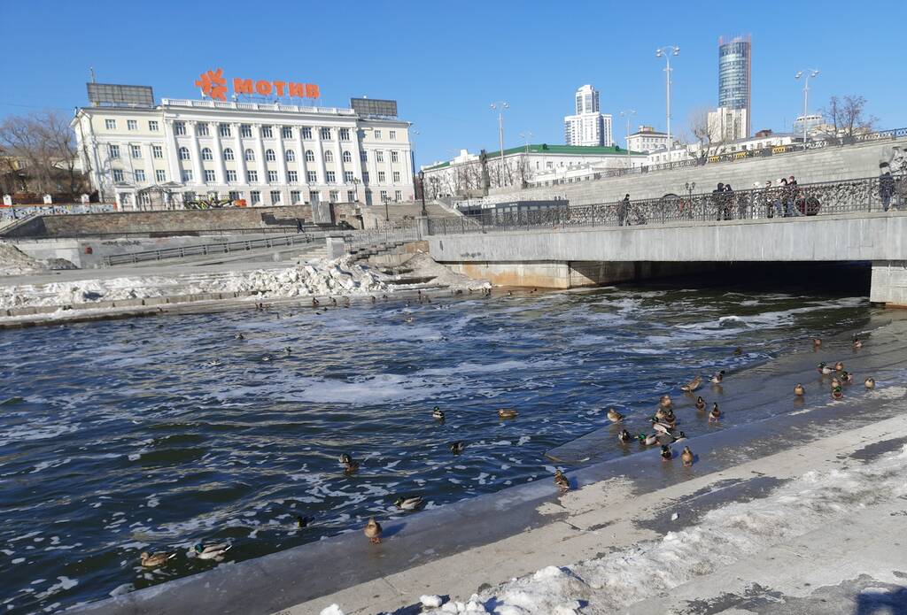 https://upforme.ru/uploads/0001/d0/60/2802/346064.jpg