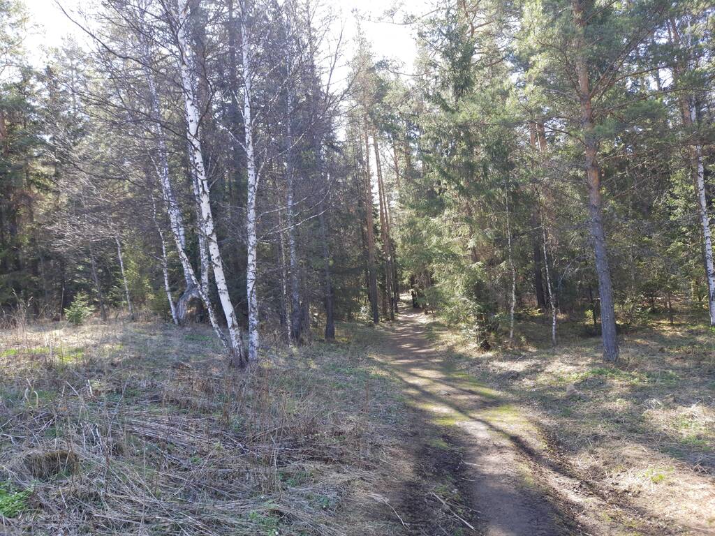 https://upforme.ru/uploads/0001/d0/60/2802/442046.jpg
