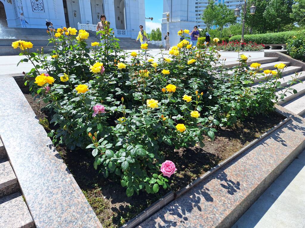 https://upforme.ru/uploads/0001/d0/60/2802/688899.jpg