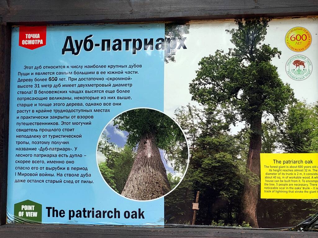 https://upforme.ru/uploads/0001/d0/60/2938/116994.jpg