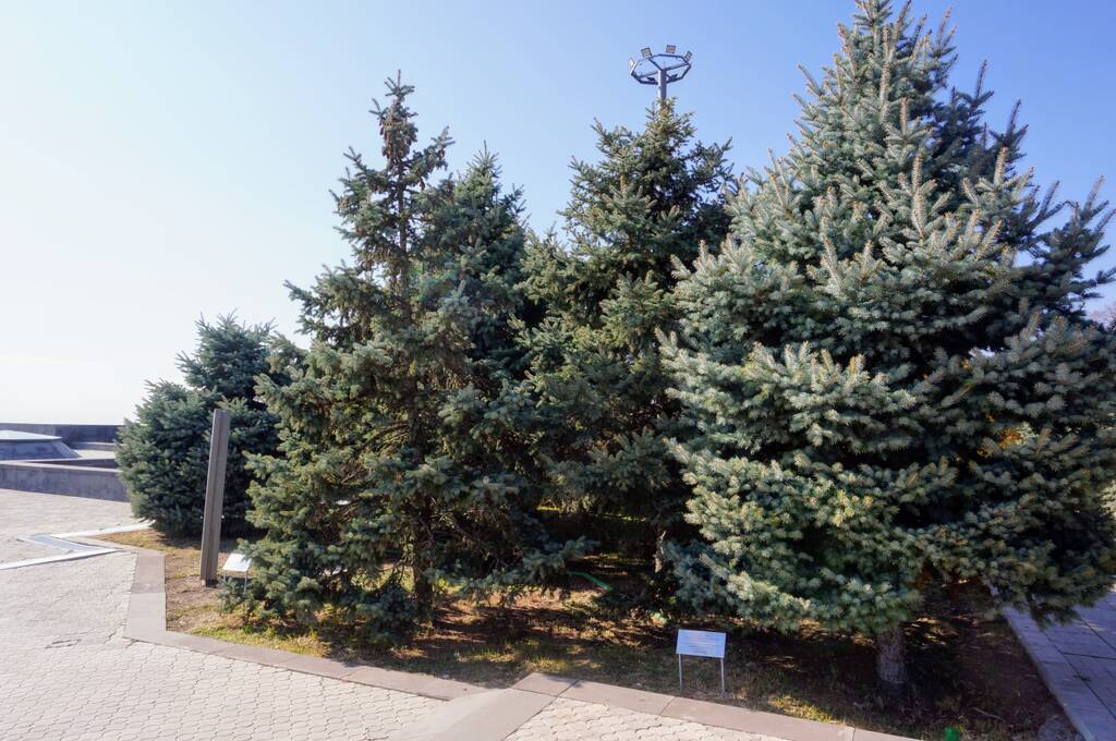 https://upforme.ru/uploads/0001/d0/60/2938/182681.jpg