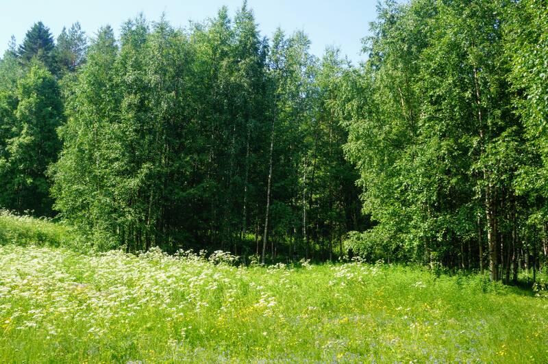https://upforme.ru/uploads/0001/d0/60/2938/334363.jpg