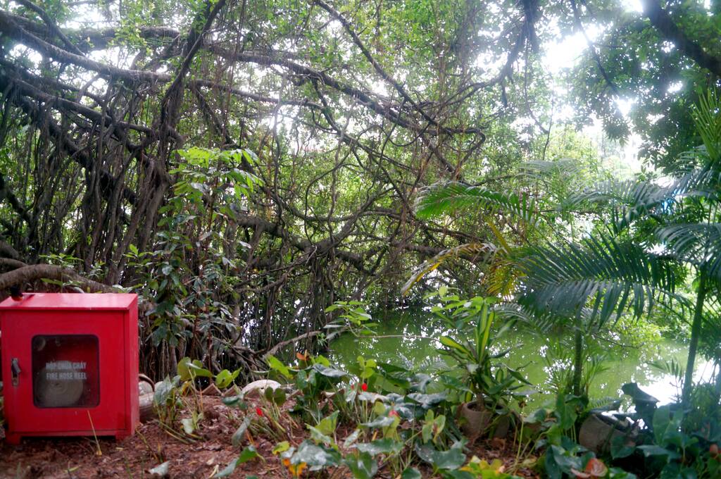 https://upforme.ru/uploads/0001/d0/60/2938/894266.jpg