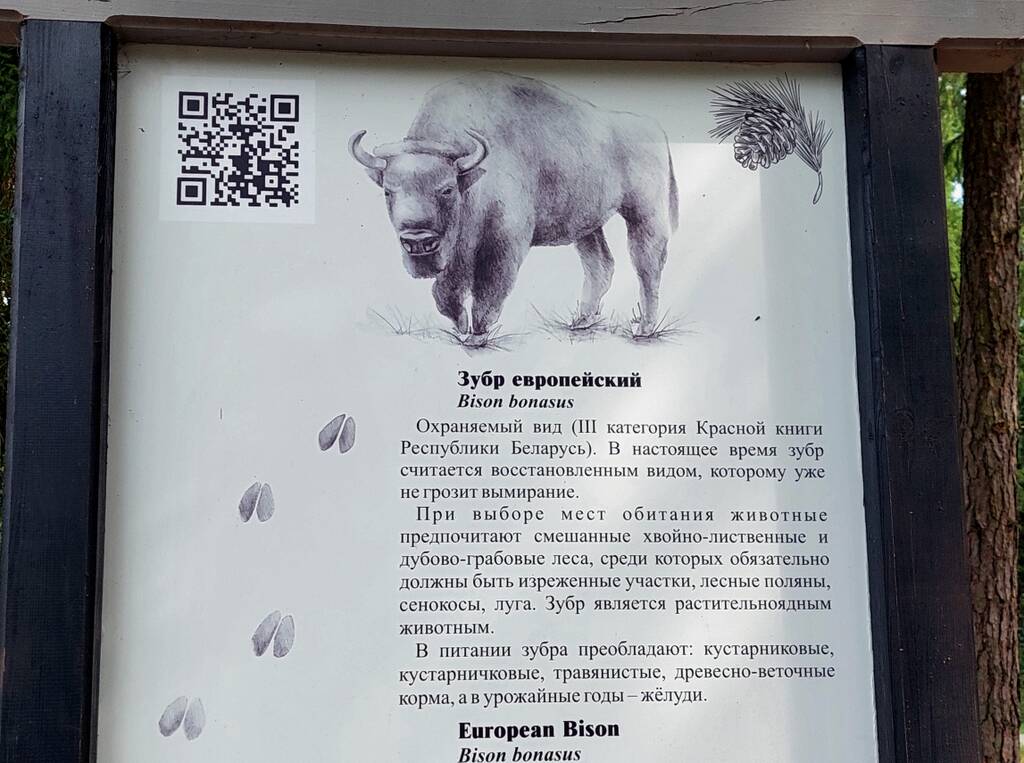 https://upforme.ru/uploads/0001/d0/60/2938/996744.jpg