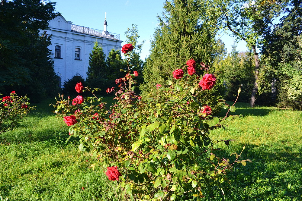 https://upforme.ru/uploads/0001/d0/60/4613/897815.jpg