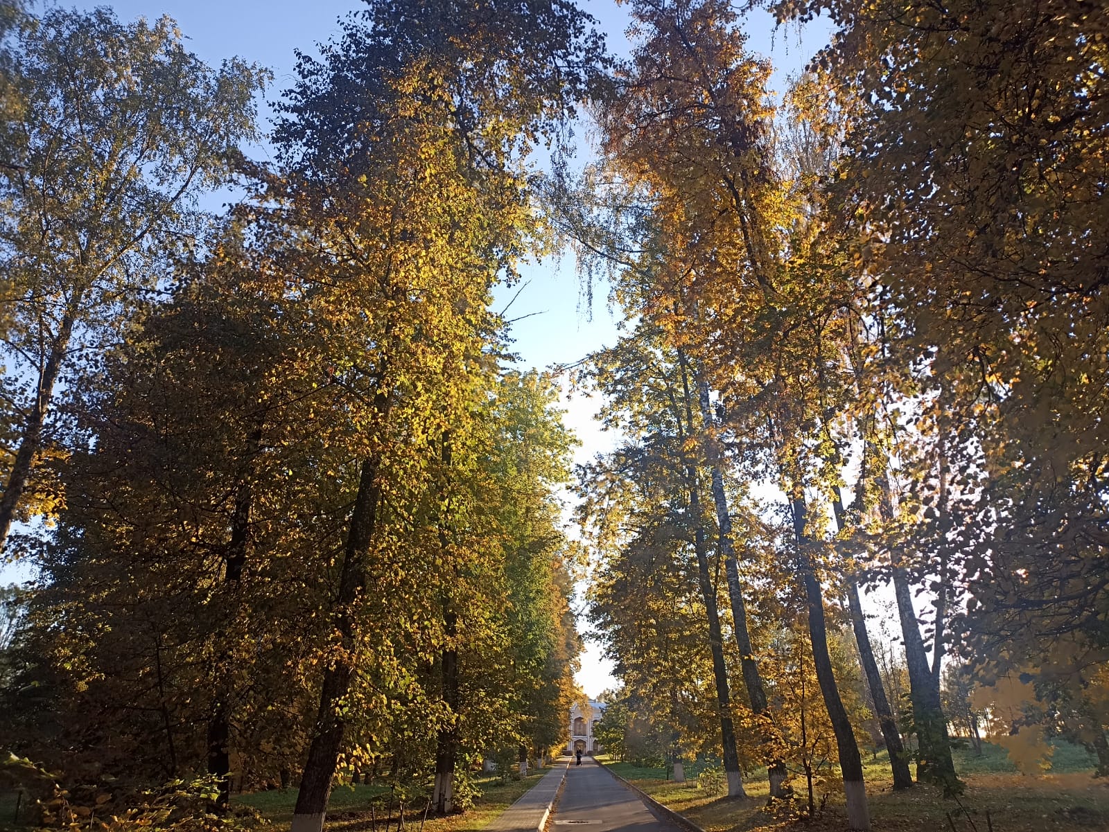 https://upforme.ru/uploads/0001/d0/60/4760/208516.jpg