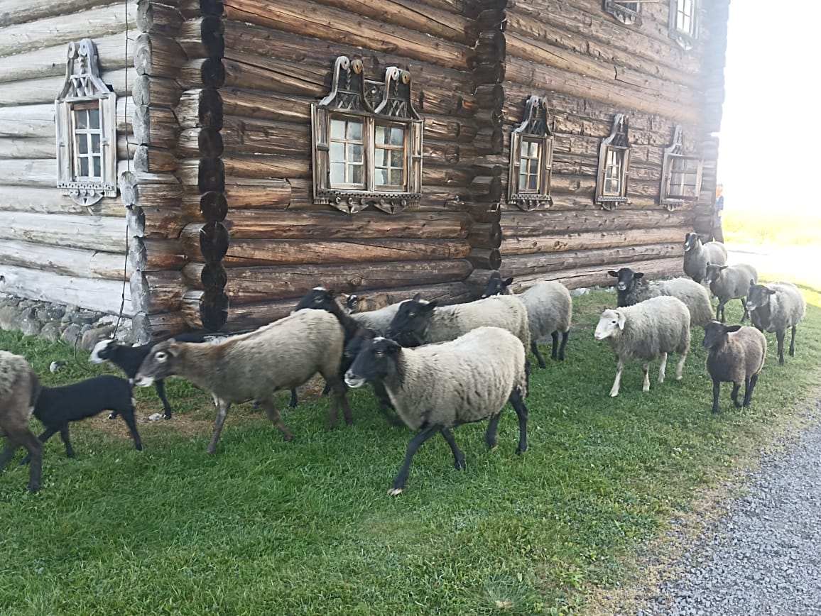 https://upforme.ru/uploads/0001/d0/60/4760/903719.jpg